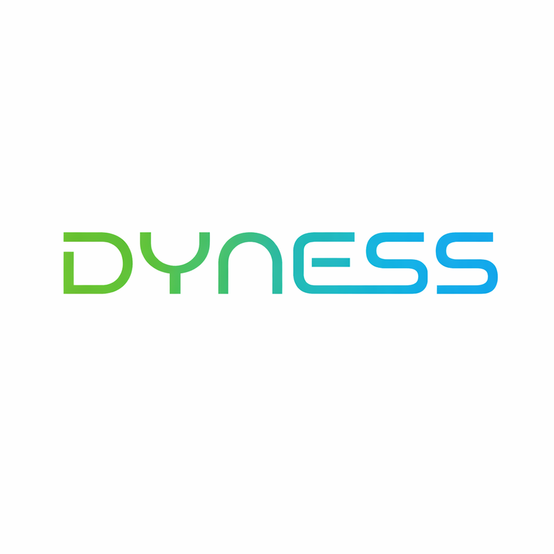 Dyness